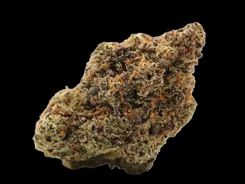 Glitter Bomb