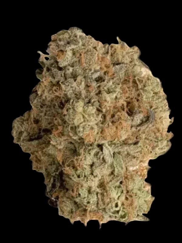 Tilray THC22 Spotlight Porto Rockstar
