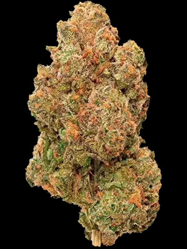CanPharma Flos A 22/1