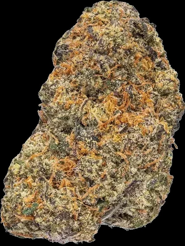 Tweed DIO 30