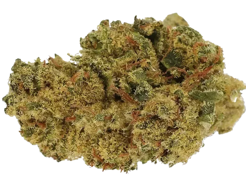 Cannamedical Sativa Ultra NM Polar Cookies