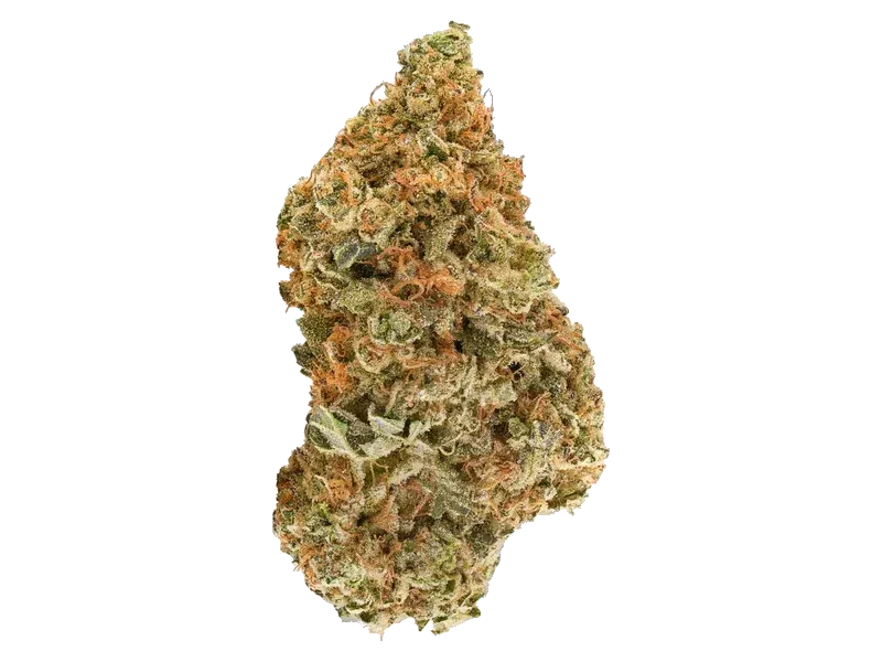 420 Evolution 20/1 CA LCG