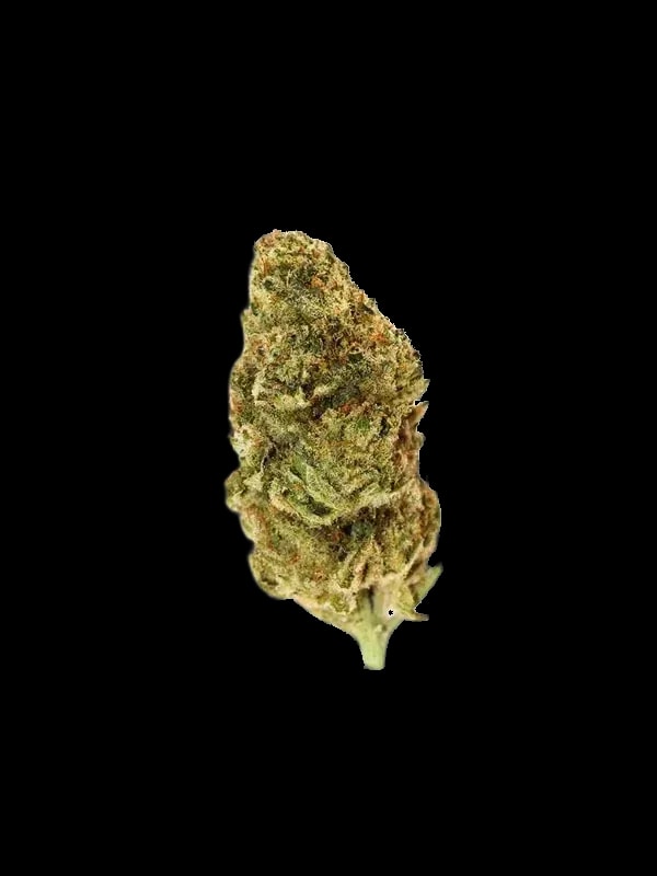 Cannabis flos 25/1 PRT Ku.