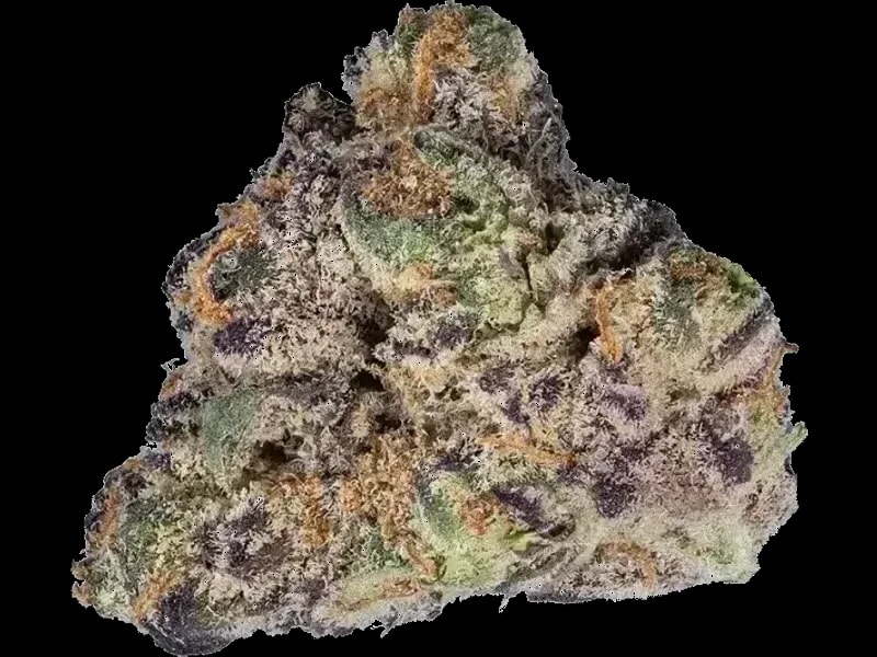 Cannamedical CM 24/1 ZA