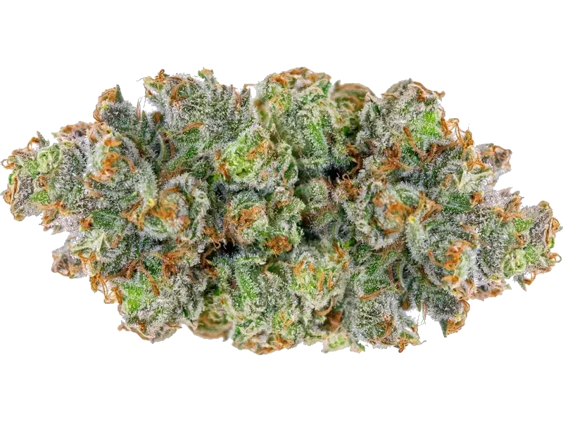 Ku. Marble Bloom DP
