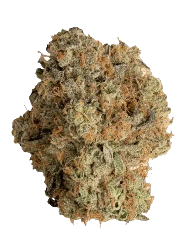 Amici AS Atomic Sour Grapefruit
