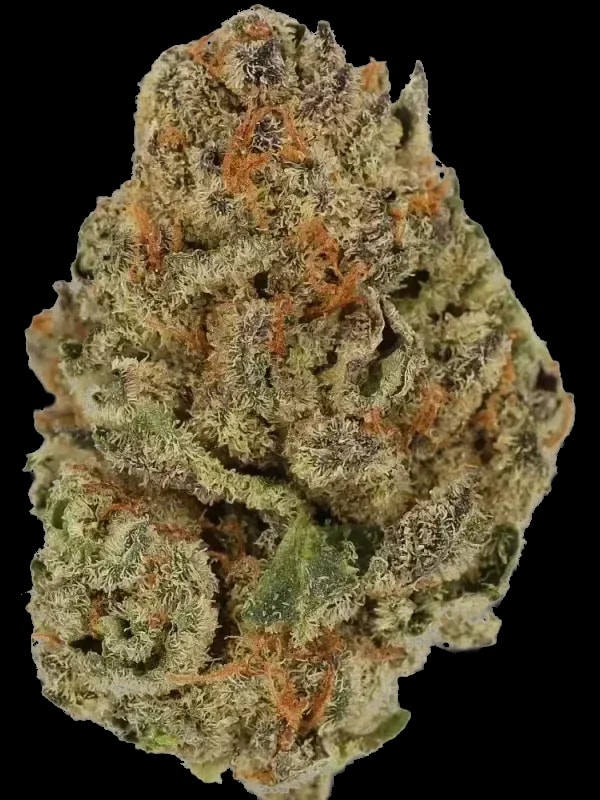 Cannamedical Hybrid forte