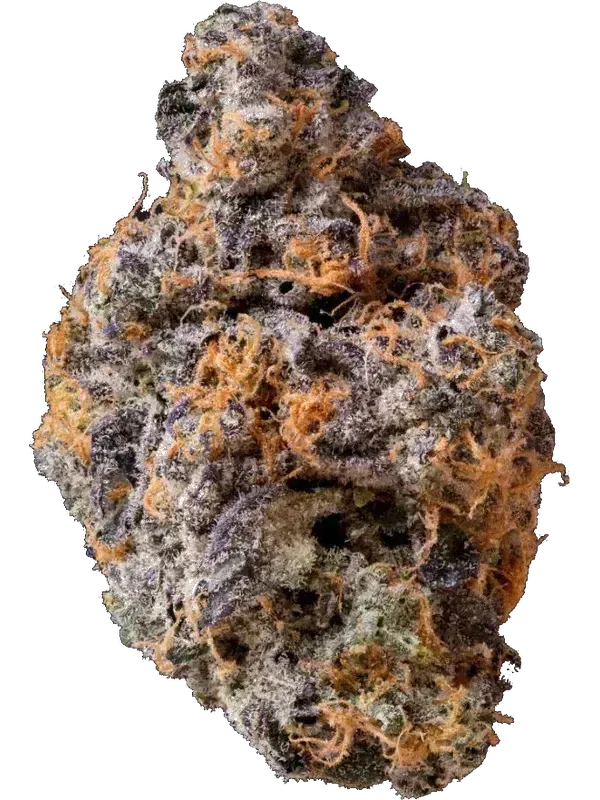 Kush Collective 27/1 GDP