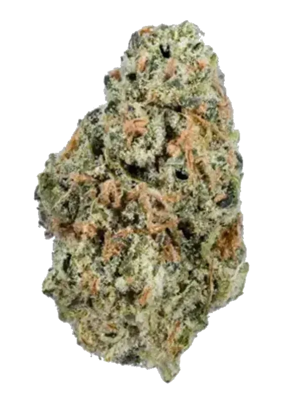 Sumo PAB 25/1 Papaya Bomb