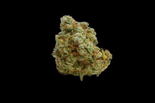 420 Sungrown 18/1 CA Dog