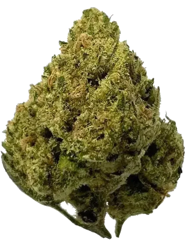 gramz. 003 GLND 27/1