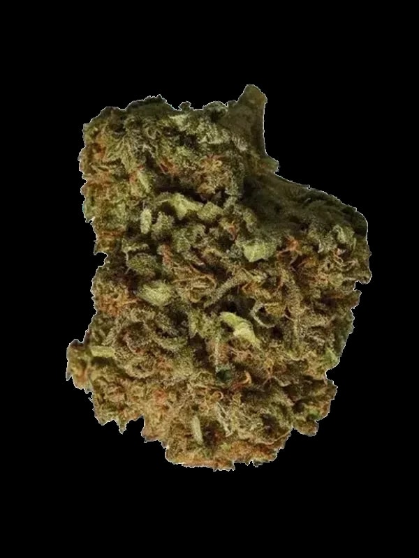 MCOS Strong 27/1 MDOC PXY