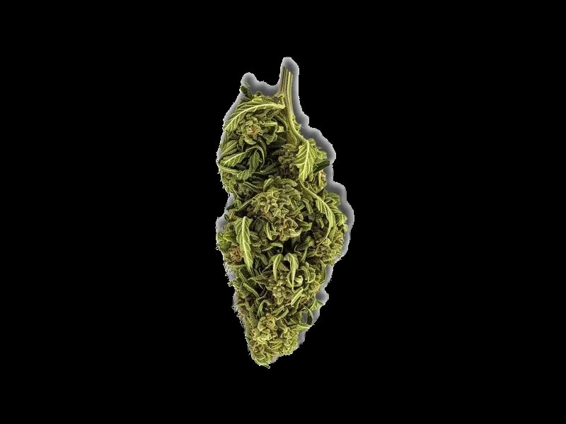 Black Pineapple