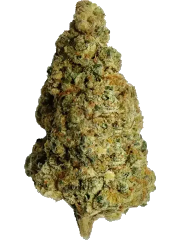 Cannamedical CM 28/1 ZA