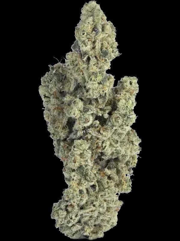 Miracle Valley MAC 2+