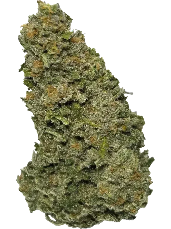Liberty Haze
