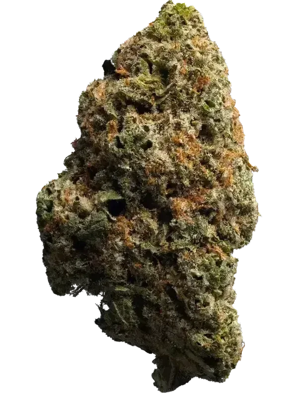 Sibanax Crescendo Cookies 22/1