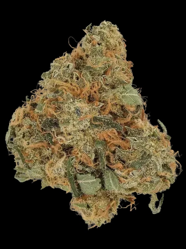Huala 30/1 CA DBC