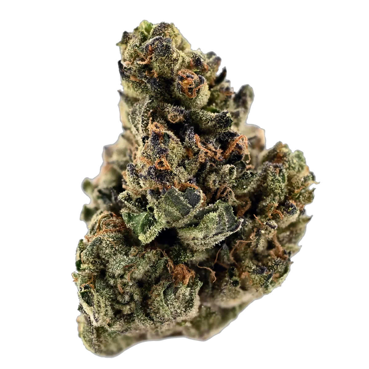 Tweed DIO 33