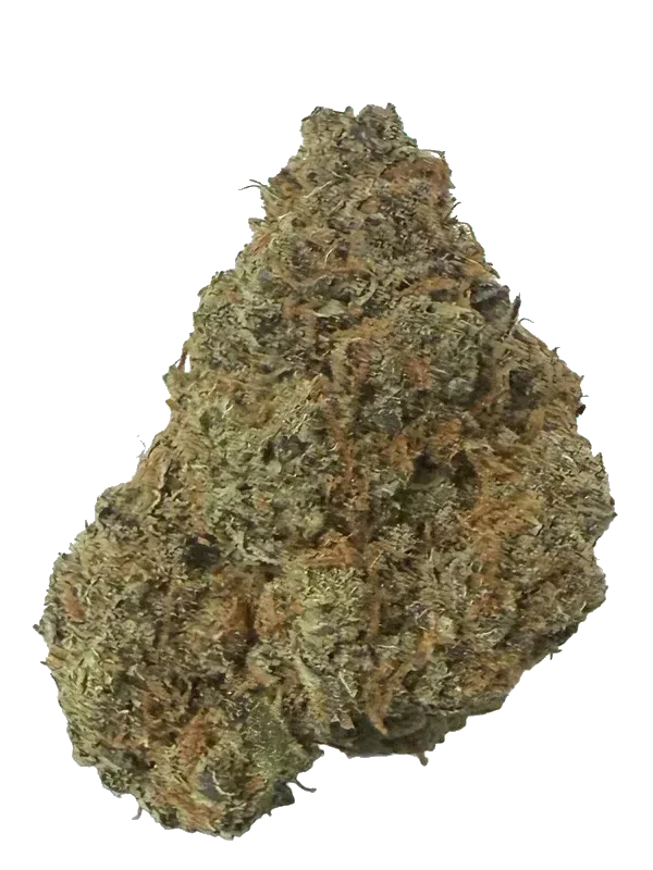 Tilray THC 15 Spotlight Porto