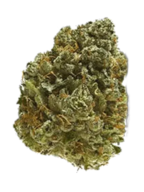 Soma OG 30/1 BCP