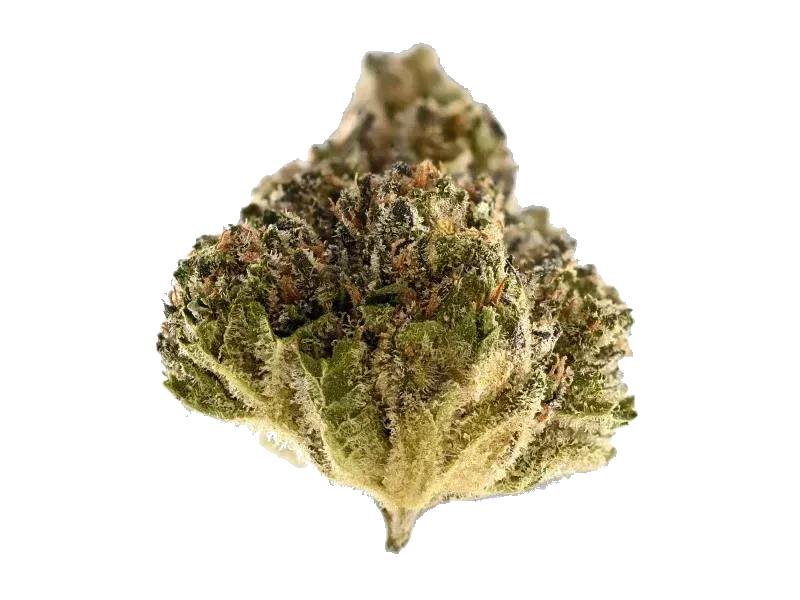 Tilray THC22 Spotlight Porto