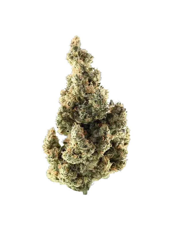 420 Natural 15/1 CA TRP