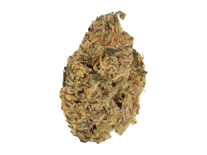 Sibanax SHB 28/1 Shishkaberry