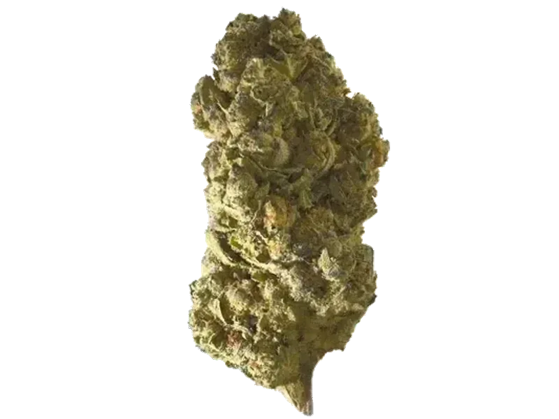 Demecan Core OZK x CC 24:01 OZ Kush x Coffin Candy