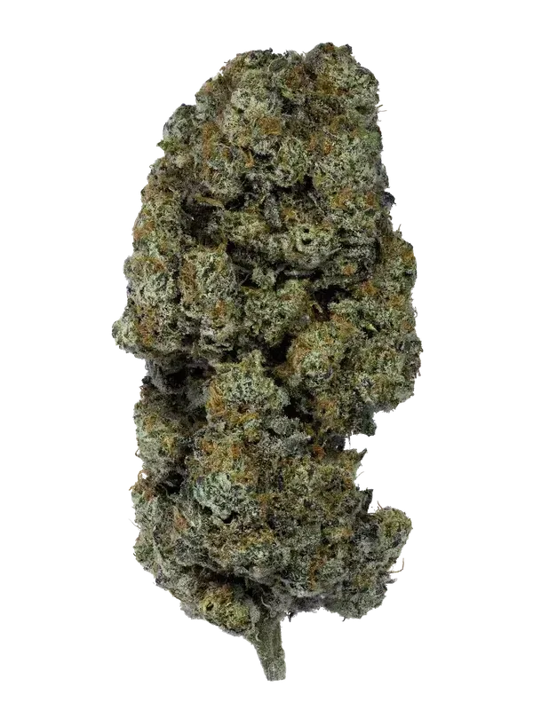 Adrex Dank Craft 28 UC CAN