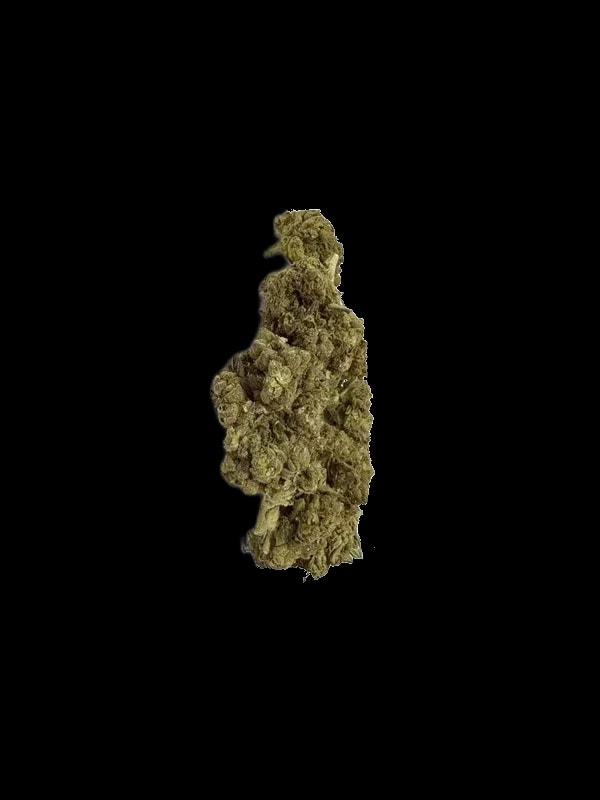Soma OG 24/1 CC