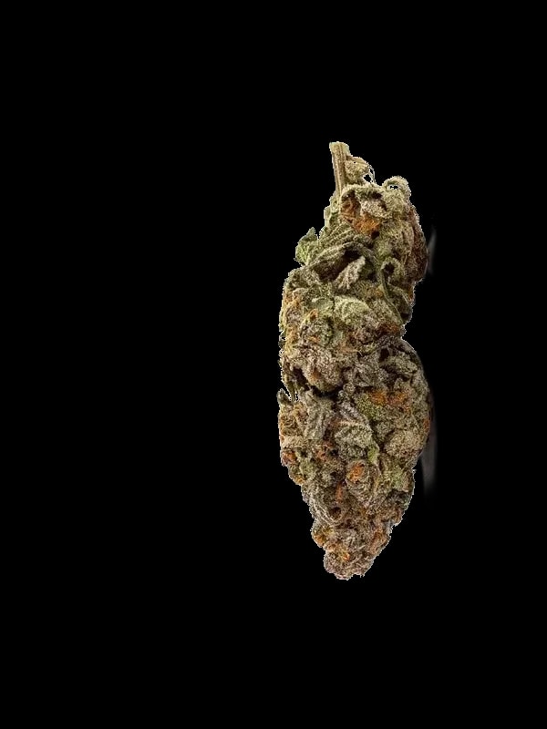 THC AKUT FB 27 AM