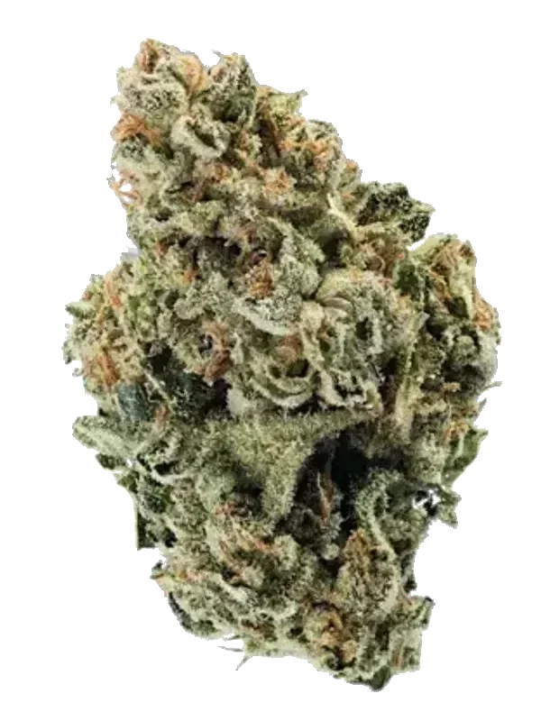 Peace Naturals 31/1 GC GMO Cookies
