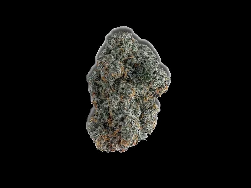 Tilray THC22 Spotlight Montevideo