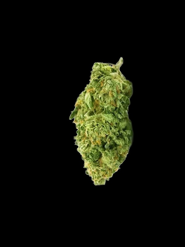 Canopy OGD 25/1 OG Deluxe