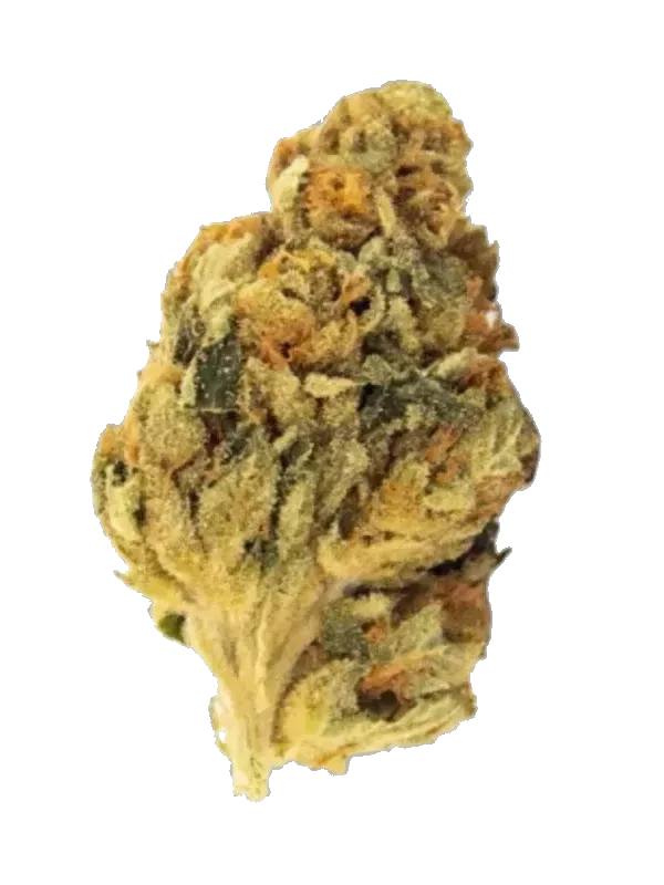 33/1 The BC Green TCK