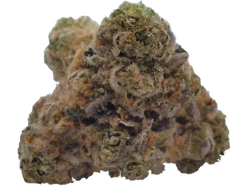 Althea THC24