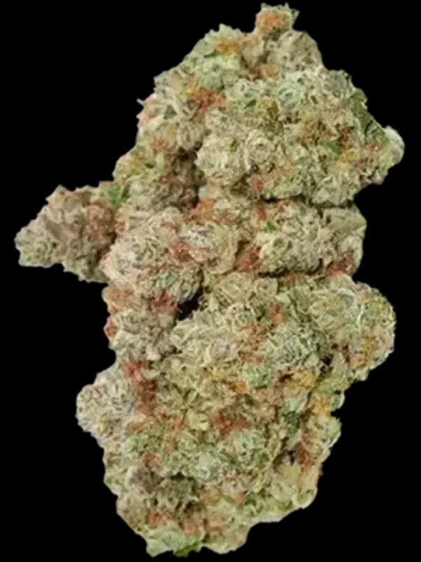 Dank Craft 26 FQ CAN