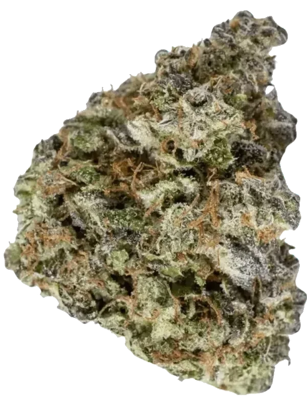 Cannamedical Hybrid Classic NM
