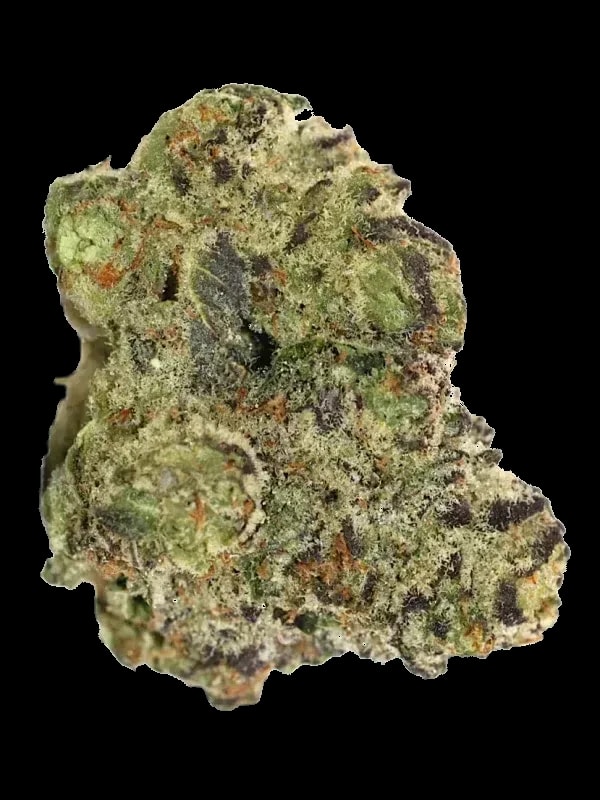 Cannamedical Hybrid Ultra NG