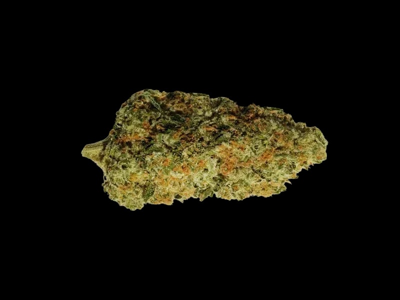 Amici BH Blueberry Headband