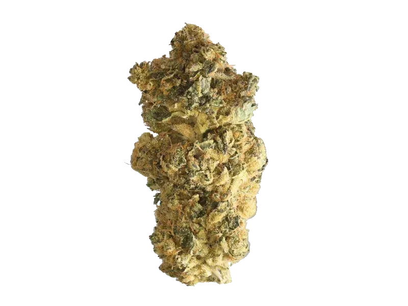 PhCann Exotics 32/1 Spritzer