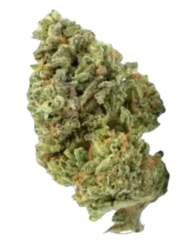 Cannamedical Sunshine Coast