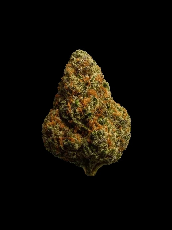 Tilray THC15 Spotlight Porto