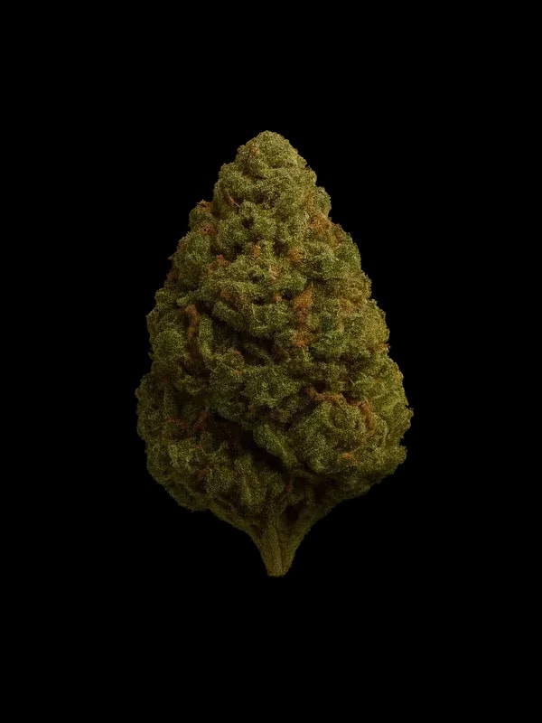 Canify Cannabis Flos 23/1 CSF Ku. Carnez Citric