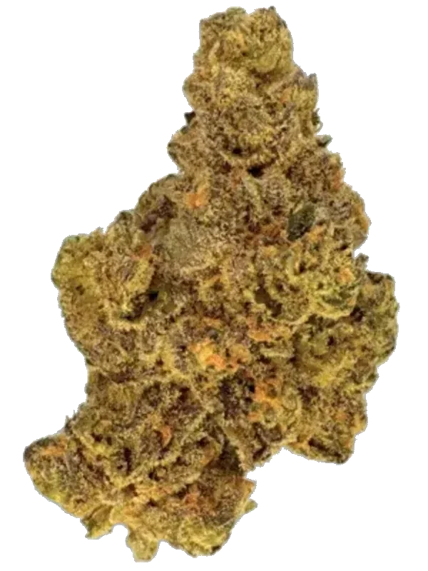 J.R. Strain GC 30/1