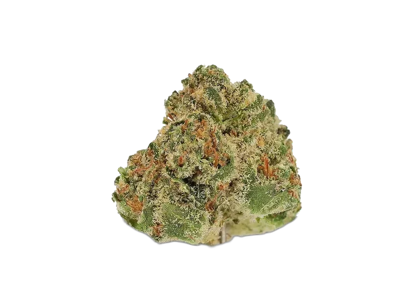 Bedica Cannabis Flos 14/1