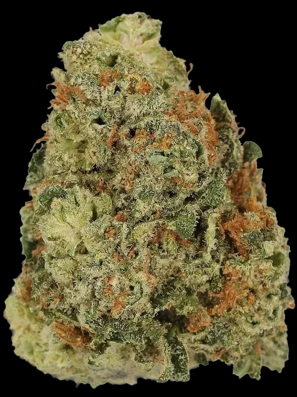 Mandarin Mac