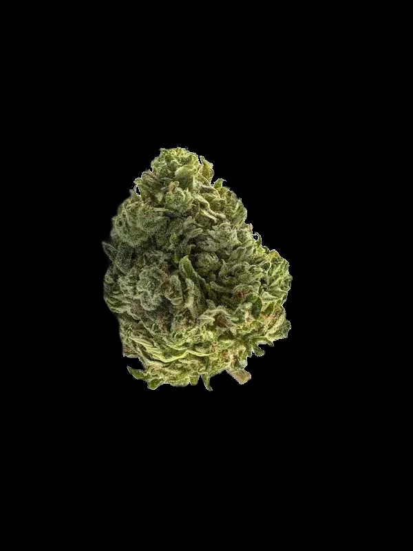 Origine Nature GG 25/1