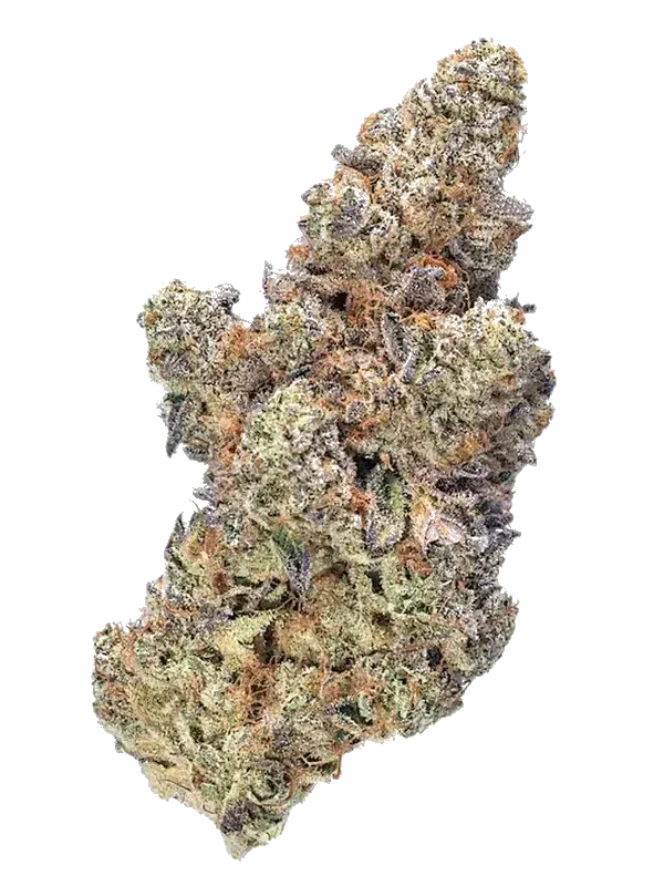 Beacon T30 Lavender Haze